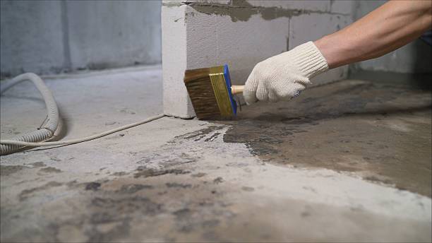 SJ Waterproofing Pros Waterproofing coverage map for Medford, MN and surrounding area